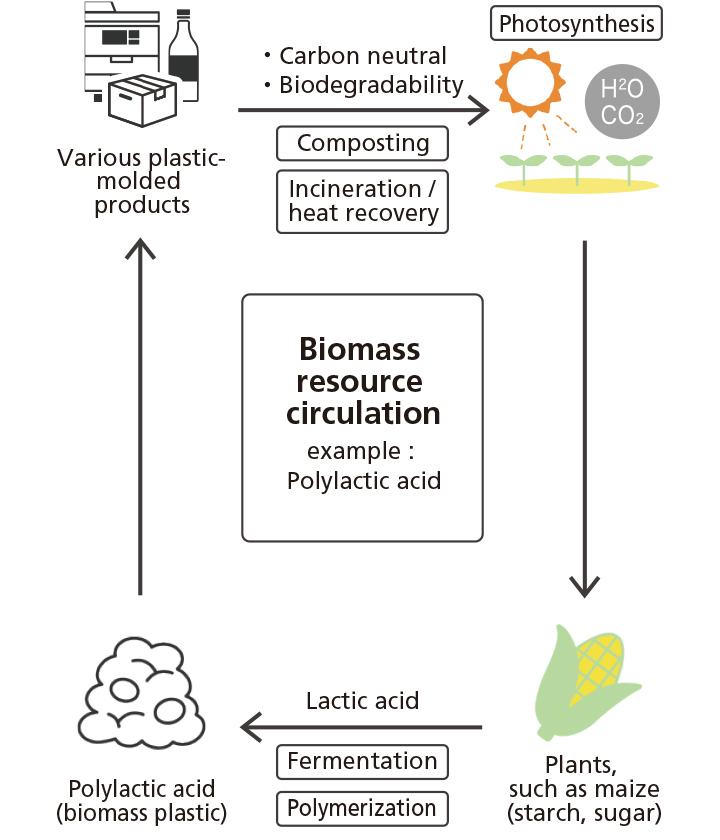 image:Biomass resource circulation