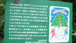 Image: Signage in Trust forest