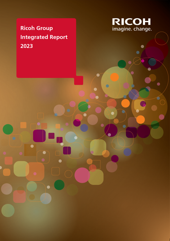 image:Integrated Report