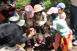 image:Children looking at a plant with curiosity