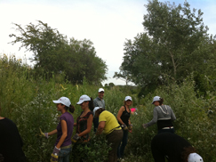 image:Spain: Employees participating in conservation initiatives for the protected area in the natural park