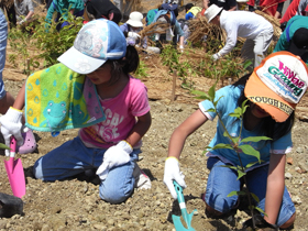 image:Japan: Children planting trees in areas working to rebuild local communities affected by the 2011 disaster