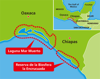 Image: South Pacific coastal areas in the states of Oaxaca and Chiapas