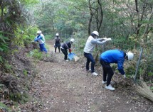 Image: Maintaining footpath and forest