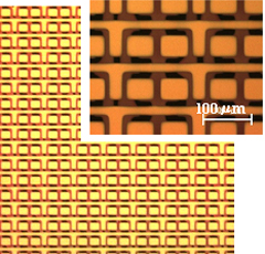 image:Fig. 3 300ppi TFT array with 1T1C after SD electrodes fabrication