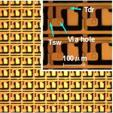 image:Fig. 4 150 ppi TFT array with 2T1C after SD electrodes fabrication