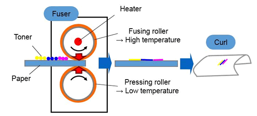 img:Figure 1 Paper curl generated in fuser 