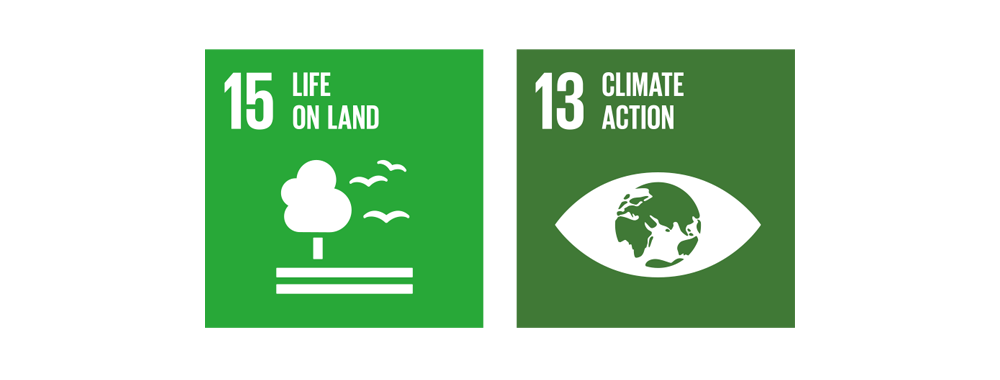 SDGs goals 15.life on land 13. climate action