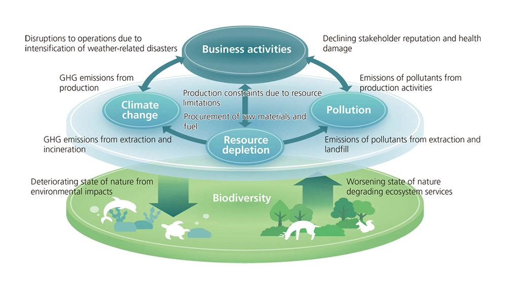 Diagram illustrating the relationship between business activities and the environment