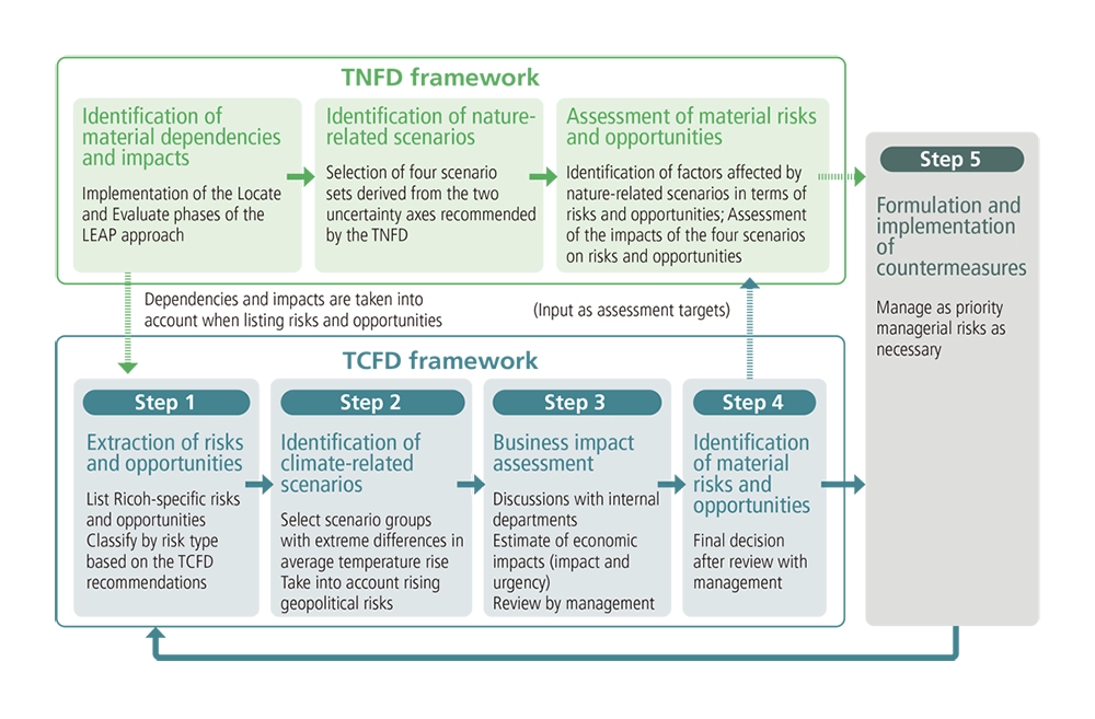 Diagram of the scenario analysis process based on the TCFD/TNFD frameworks