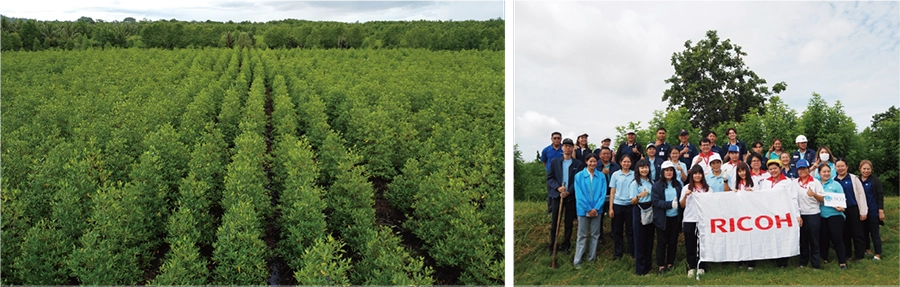 Two photos from forest conservation projects: one showing a neatly arranged reforested area with rows of trees, and the other featuring a group of participants involved in a project