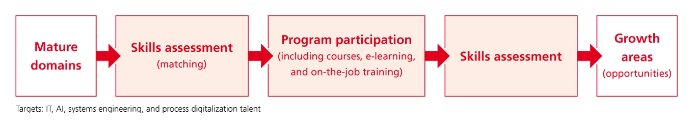 Illustration of the skill development program