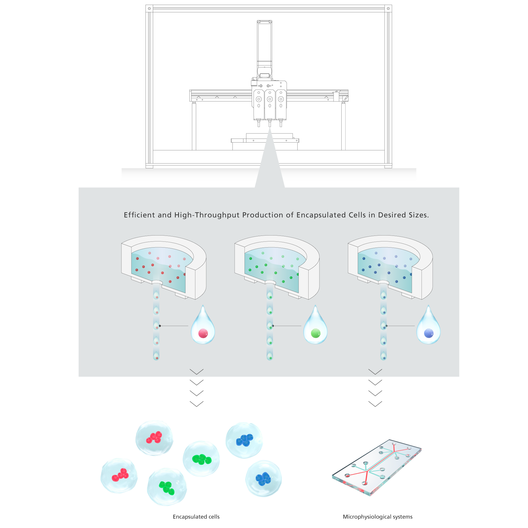 Diagram illustrating the above content