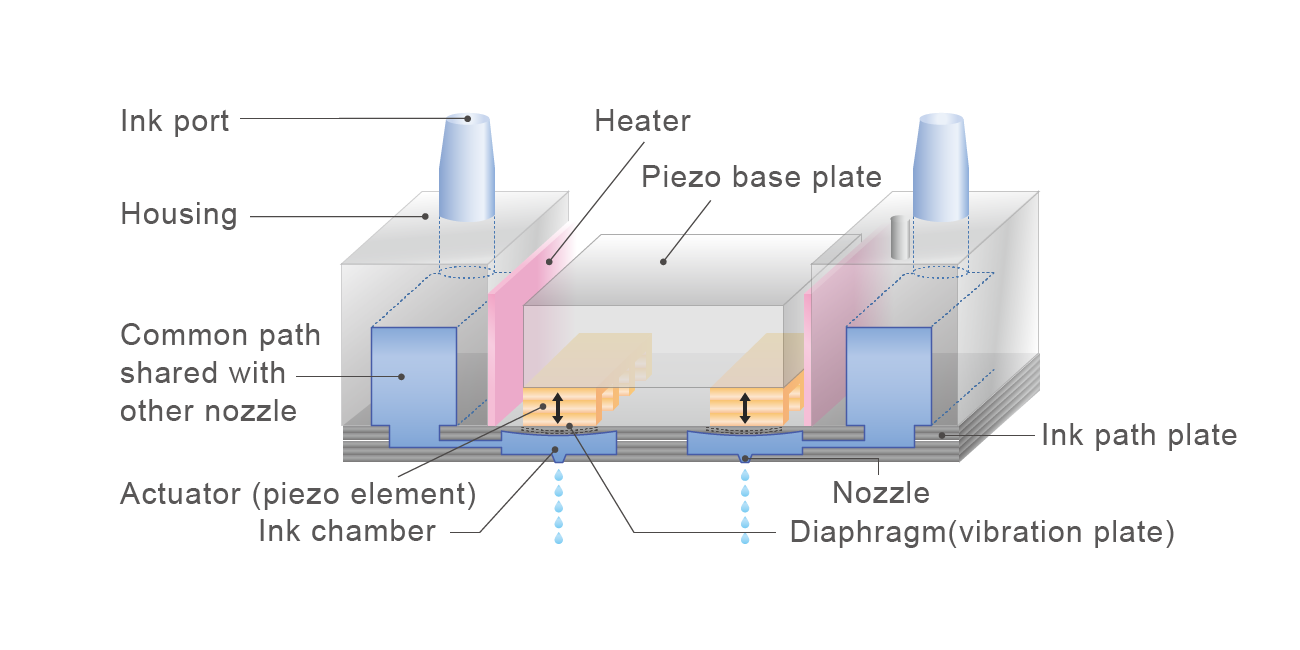 Detailed diagram of a Ricoh inkjet print head, illustrating the internal structure with the piezo element, ink chamber, nozzle, and heater.