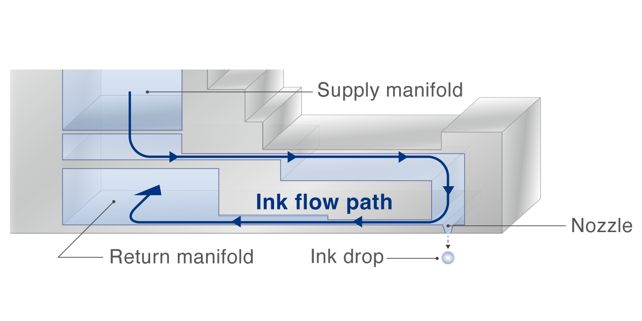 Detailed diagram showing the ink flow path within the stainless steel print head, illustrating the Supply manifold, Return manifold, Nozzle, and Ink drop.