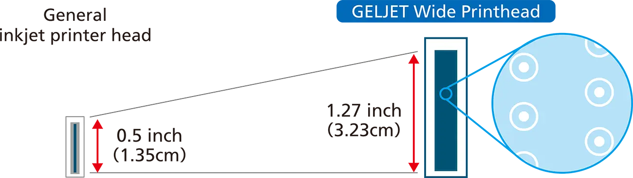A typical inkjet printer head is 0.5 inches (about 1.35 cm)