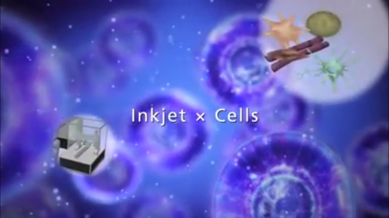 Cell layering - Regenerative medicine × Ricoh -