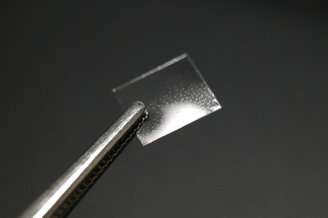 Figure 5: Prototype filter